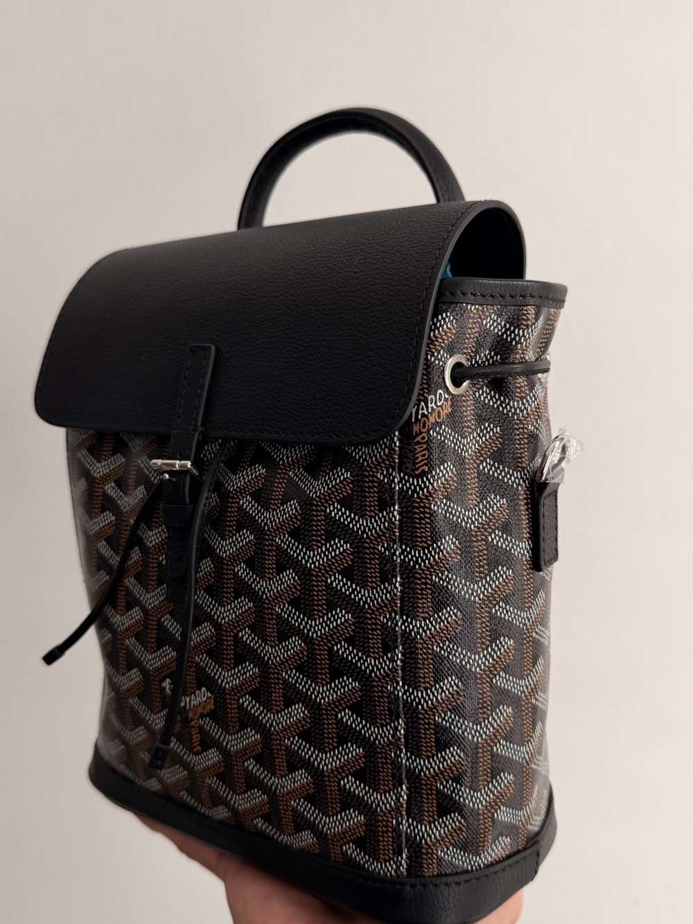 Goyard Alpin Mini Backpack Black Brown Goyardine Leather Trim - Missing Straps - Picture 2 of 8